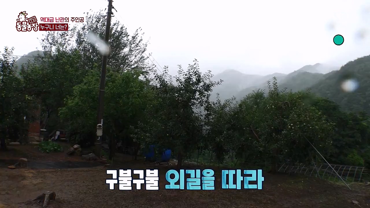 TV 동물농장.E1138.230918p-NEXT.mp4_20230917_174245.079.jpg