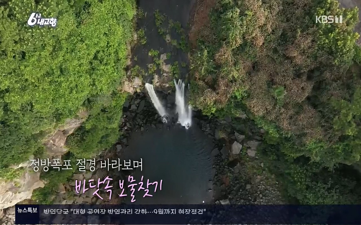 6시 내고향.E7596.220813p.H264-F1RST.mp4_20220814_175744.099.jpg