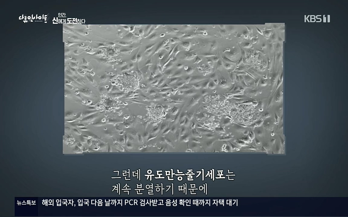 다큐 인사이트.E121.220819p.H264-F1RST.mp4_20220822_180822.467.jpg