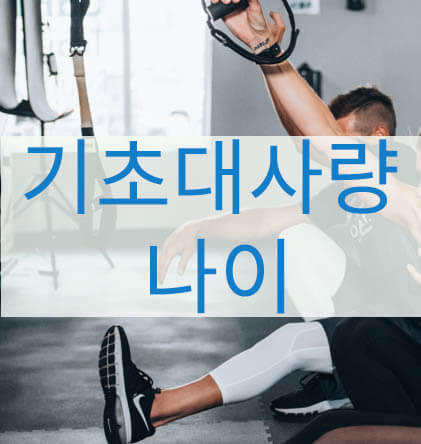 나이 드니 살이 더 찌는 이유, 기초대사량 늘리는 방법 나이 드니 살이 더 찌는 이유, 기초대사량 늘리는 방법
