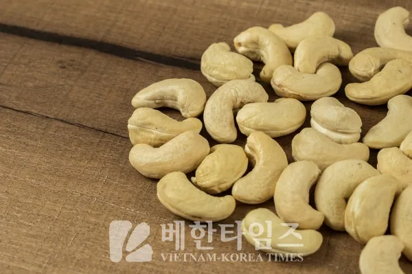 캐슈넛 효능 칼로리 섭취량_7