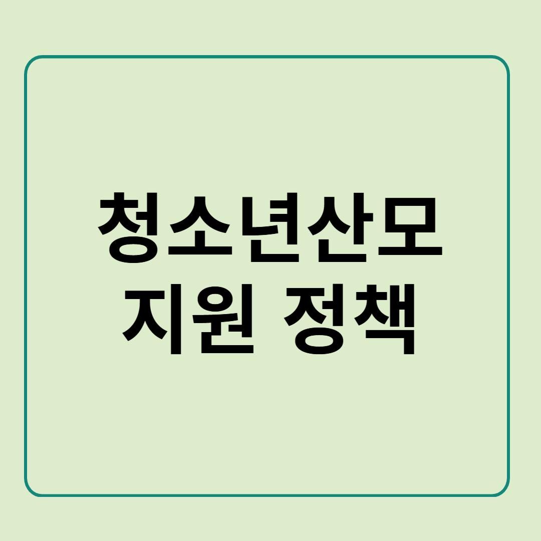 청소년 산모 지원 정책