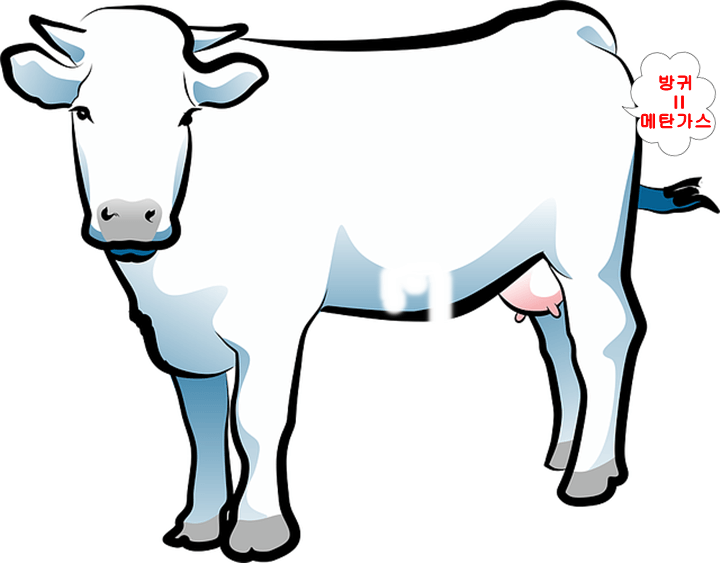 소의방귀-메탄가스-지구온난화
