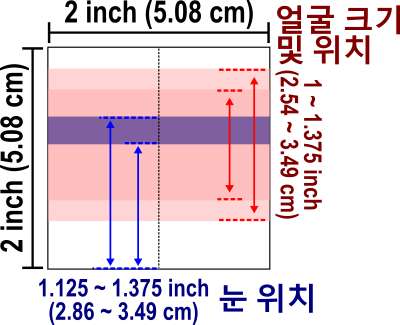 비자용 사진 규격