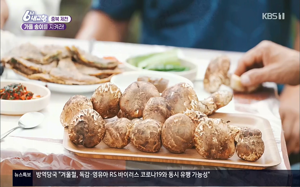 6시 내고향.E7630.221004p.H264-F1RST.mp4_20221004_213253.070.jpg