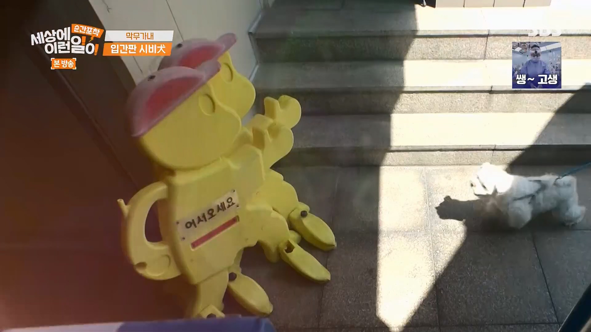 순간포착 세상에 이런일이.E1245.230909p.H264-F1RST.mp4_20230910_171510.925.jpg
