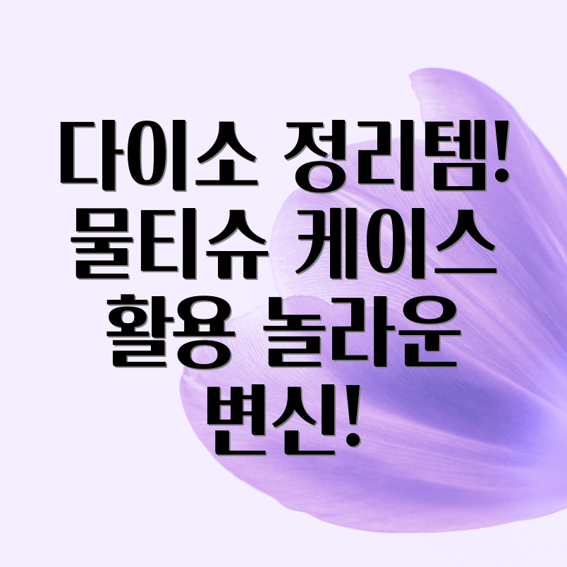 다이소 물티슈 케이스