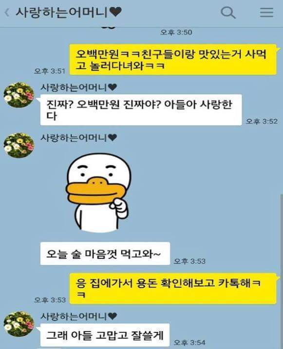  웃긴짤방ㅣ효도
