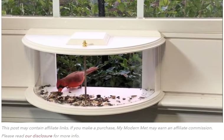 쉽게 설치할 수 있는 가정용 조류 먹이 공급 장치 VIDEO:This Bird Feeder You Can Easily Mount in Your Window Gives You a Front-Row Seat to Nature