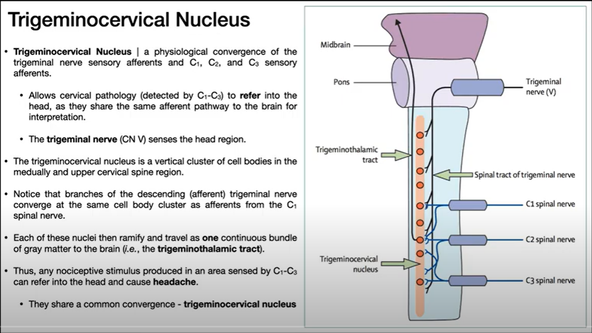 Image from Youtube Channel &#39;Catalyst University&#39;