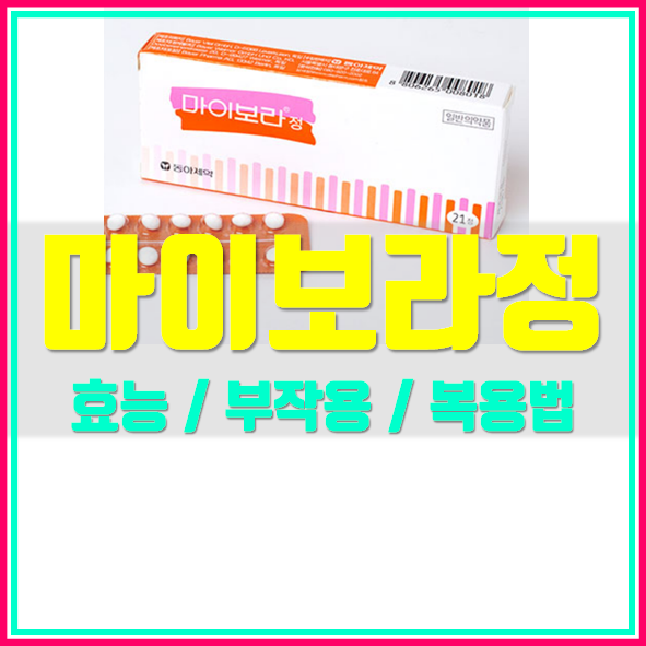  마이보라 먹는법 가격