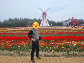 신안 임자도 튤립축제 기간 입장료 가볼만한 곳 총정리_22