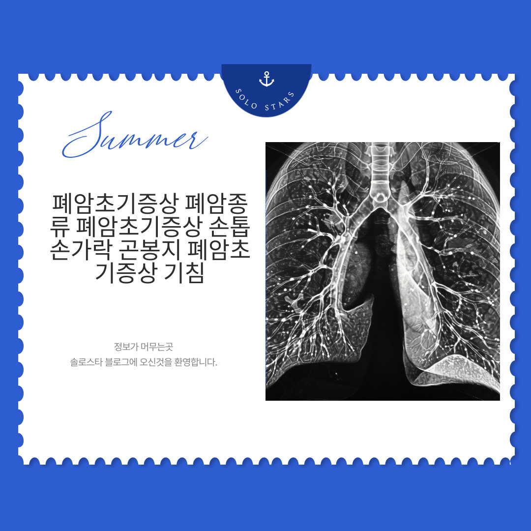 폐 엑스레이사진
