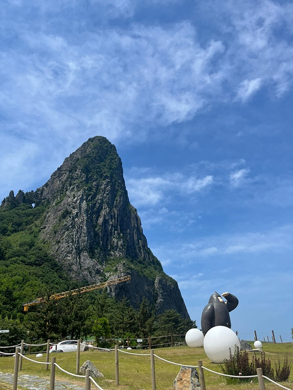 울릉도 카페 추천