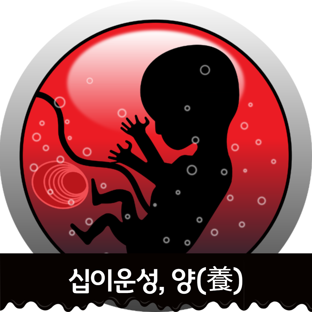  식복을 타고난 십이운성 양(養)