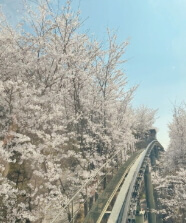 화담숲 예약방법