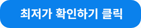 최저가 확인 하기 클릭이라는 문구가 적힌 css 버튼 사진