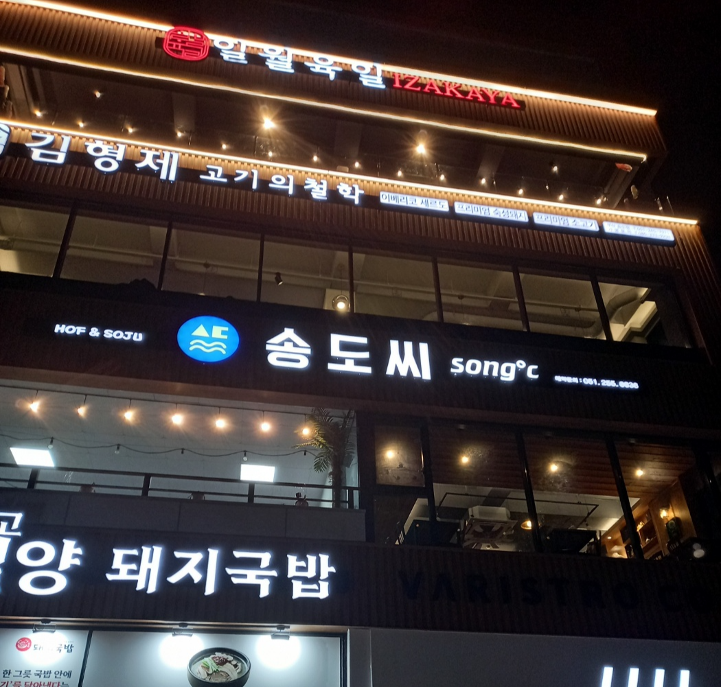 송도씨 사진 2