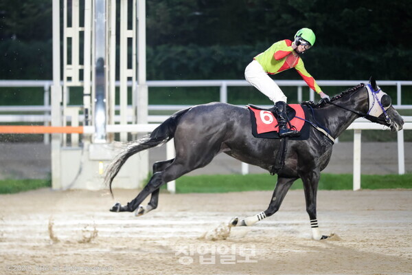 렛츠스포츠 이미지