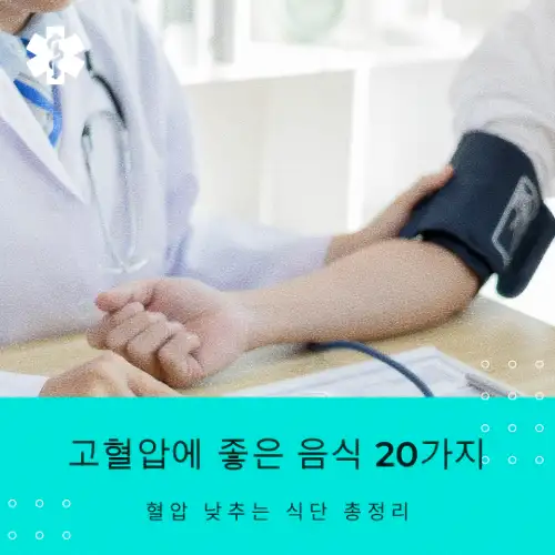 고혈압에 좋은 음식 20가지