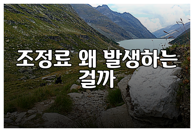 조정료 왜 발생하는 걸까