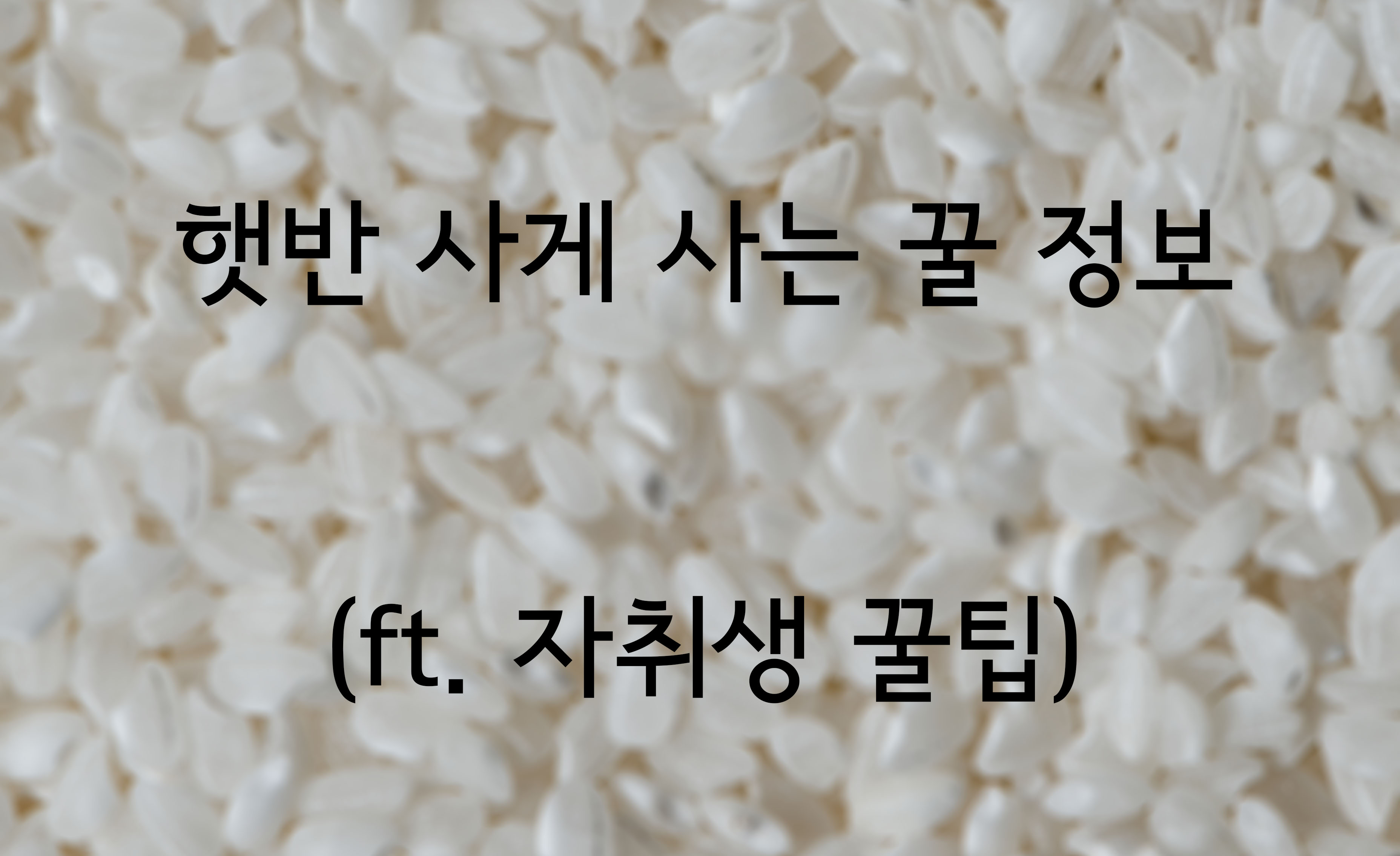  CJ 더 마켓 꿀 할인 정보! 자취 꿀팁 햇반 50프로 할인?