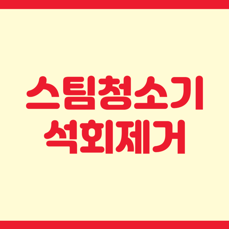 스팀청소기 석회제거