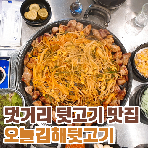  뒷고기 맛집 댓거리 오늘김해뒷고기