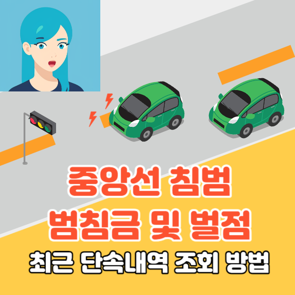 중앙선 침범