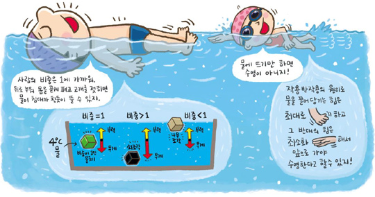  수영하는 요령 VIDEO: How to swim