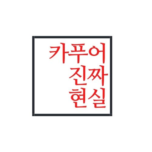  카푸어 현실 알아보자(안보면 손해)