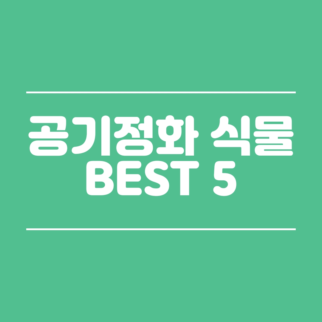  공기정화 식물 BEST5 한방에 정리