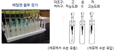 농촌지도사, 농업직 시험대비 방송통신대학교 농학과 - 재배식물생리학 요약 정리 - 4. 물의 특성과 수분퍼텐셜 : 네이버 블로그