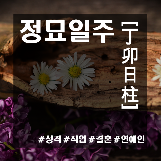  정묘일주(丁卯日柱)