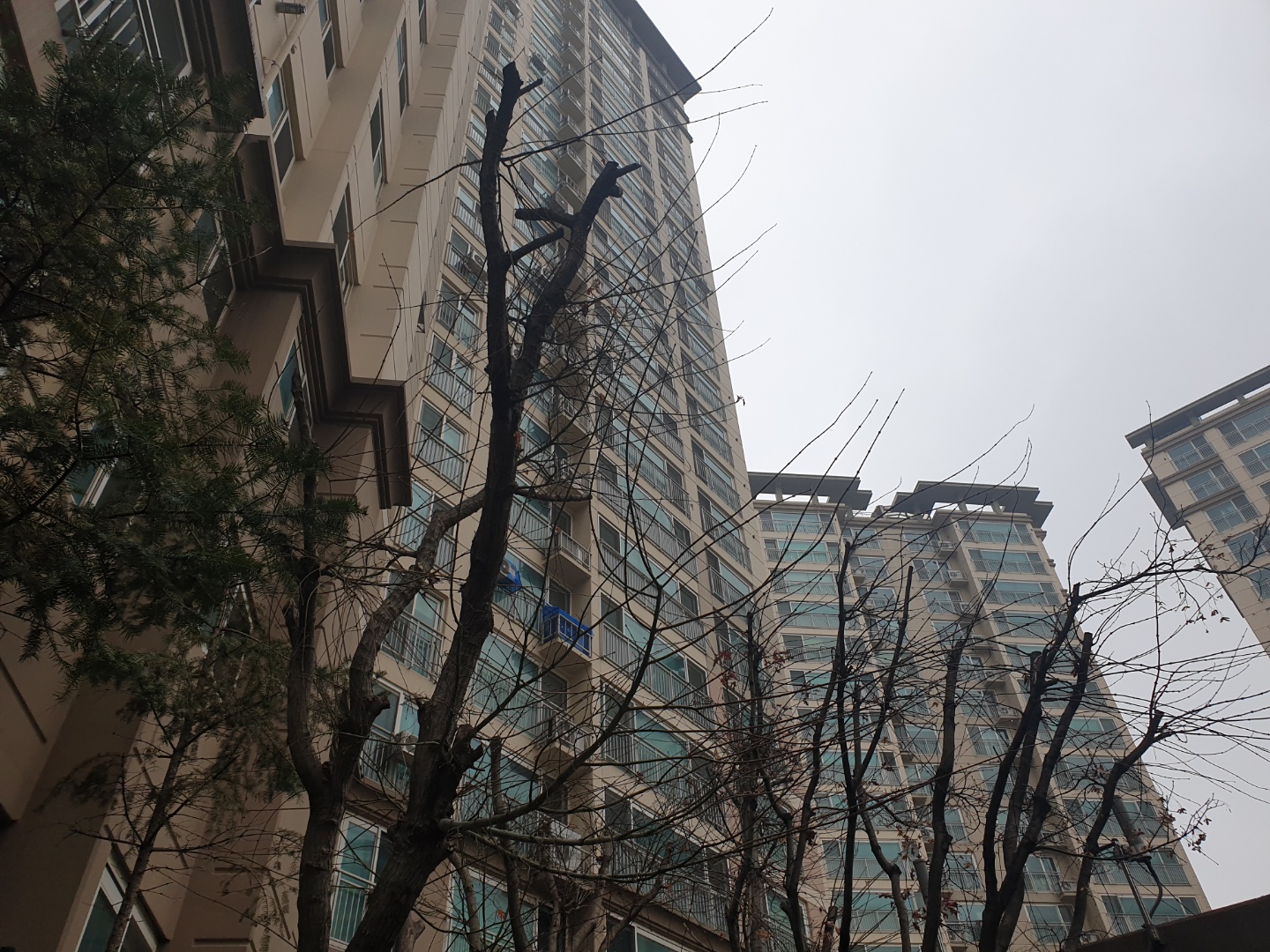  아파트 분양 종류 선분양제도와 후분양제도 뜻 장점과 단점, 차이점
