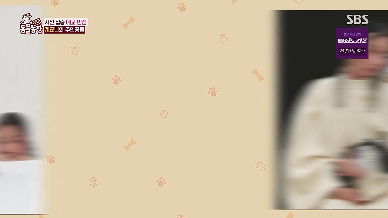 TV 동물농장.E1104.230123p.WANNA.mp4_20230123_195414.476.jpg