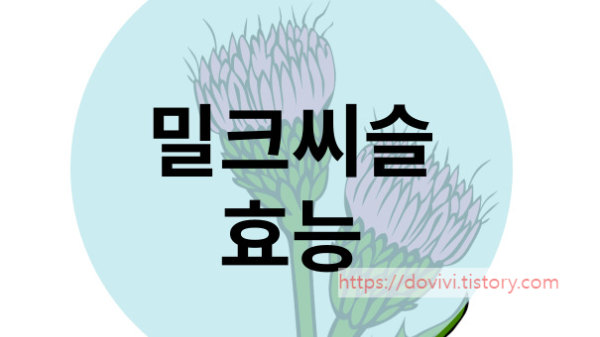  건강기능식품 밀크씨슬 효능 및 제품 선택하는 방법