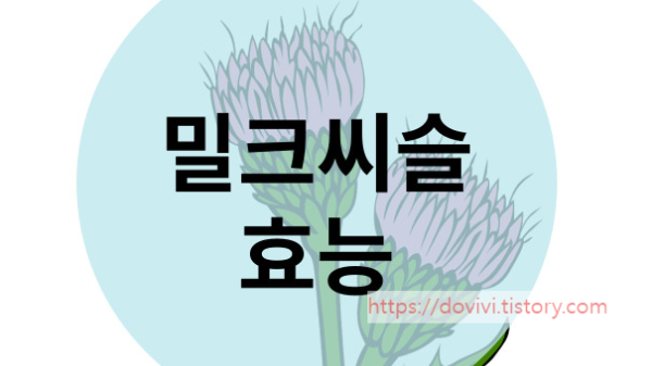 밀크씨슬 효과