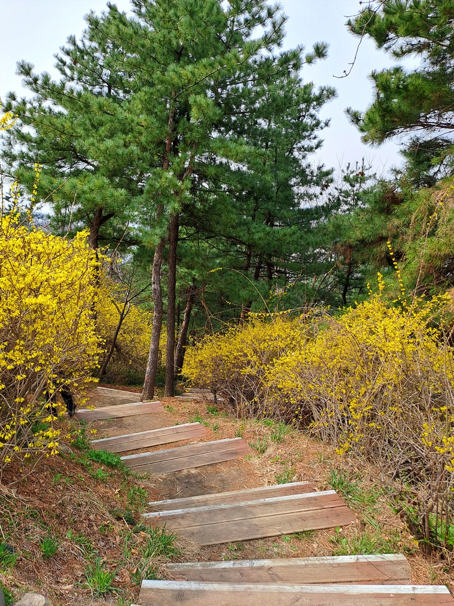 독서당길