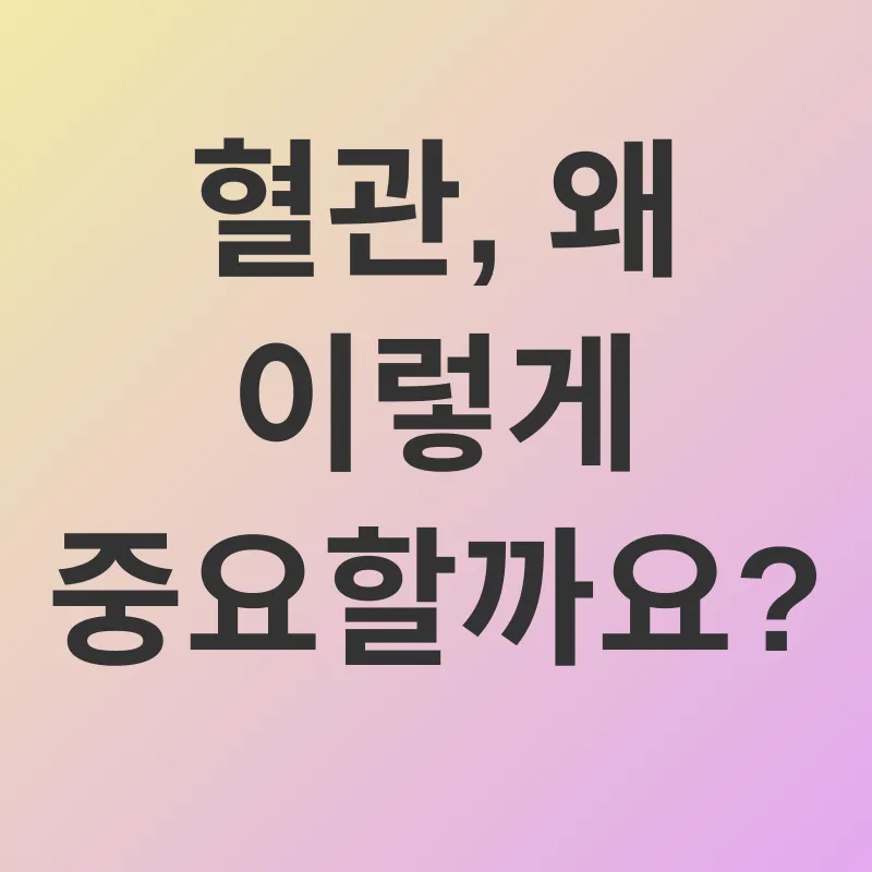 혈행 건강_1