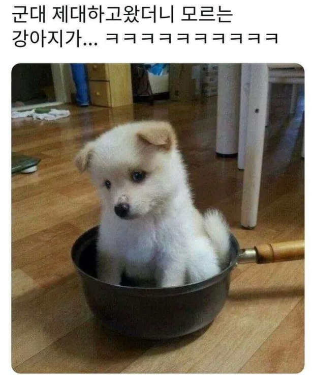  군대 제대하고 집에 왔는데