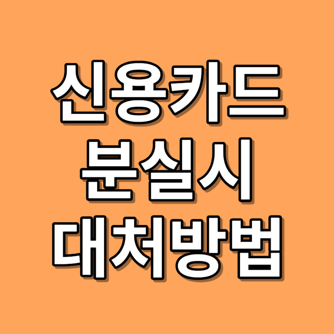 신용카드 분실 및 도난