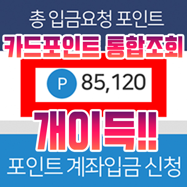  카드포인트 통합조회 후기 8만원 생김
