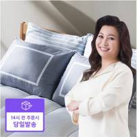 [기절베개] [빠른배송]오리지널 2종세트(베개2+커버2)