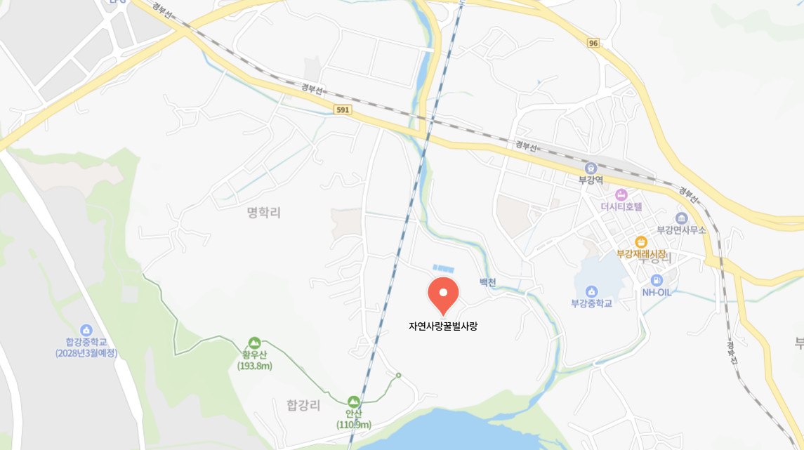 한국기행 세종 벌꿀