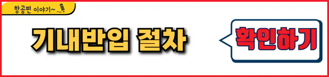 비행기 기내반입 절차