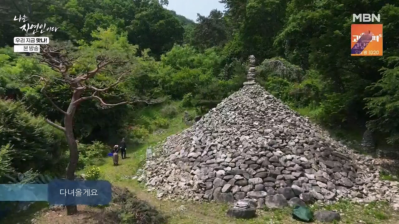 나는 자연인이다.E609.240613p-NEXT.mp4_20240613_195119.165.jpg