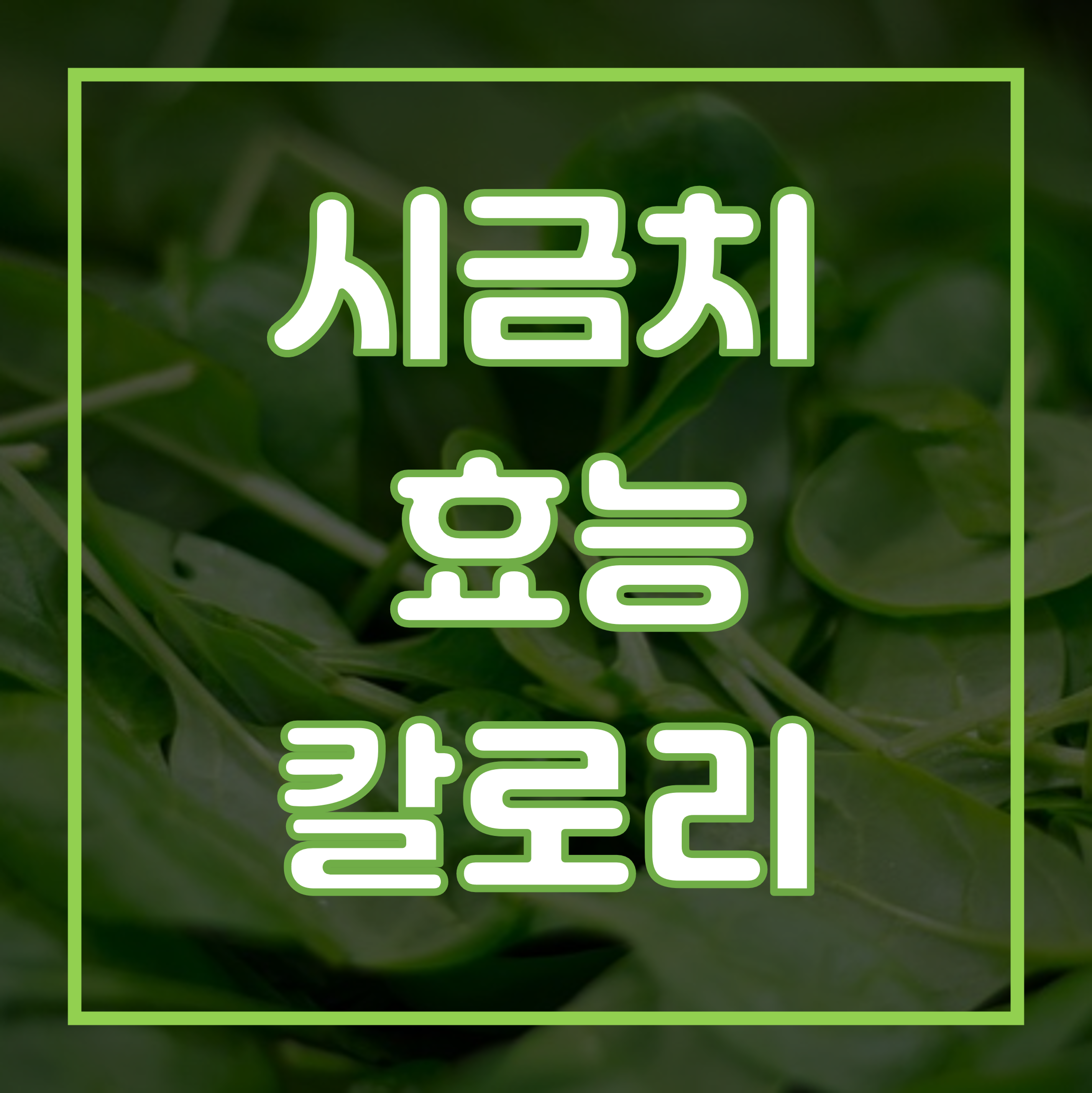 시금치 효능 칼로리