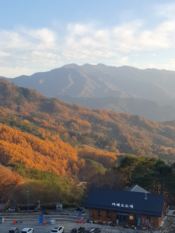 지리산 살구 카페