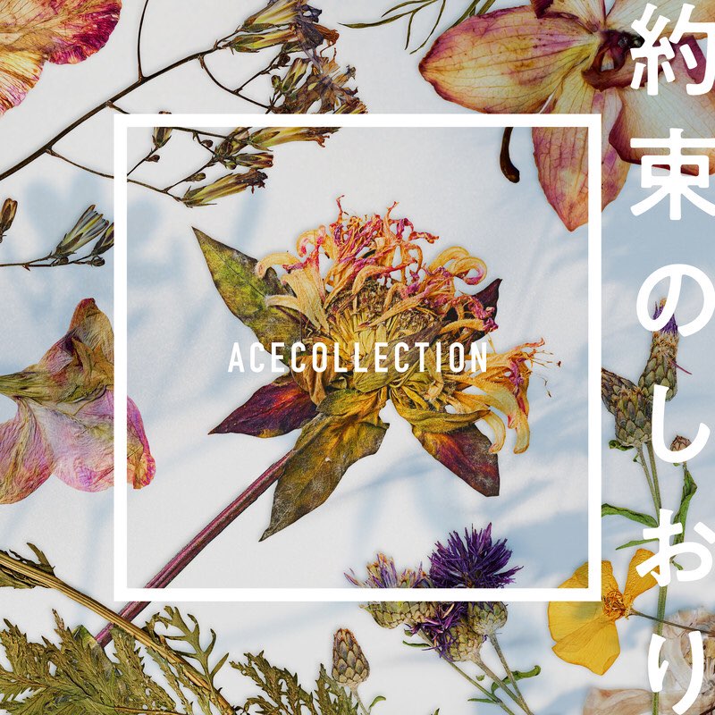  에이스 컬렉션 야쿠소쿠노시오리 약속의 책갈피 Ace collection 約束のしおり 일본노래 jPOP 추천 가사/해석 明日、キミのいない世界で 내일 네가 없는 세상에서 OST